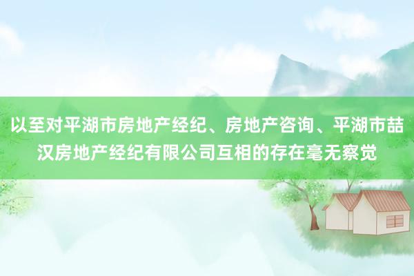 以至对平湖市房地产经纪、房地产咨询、平湖市喆汉房地产经纪有限公司互相的存在毫无察觉